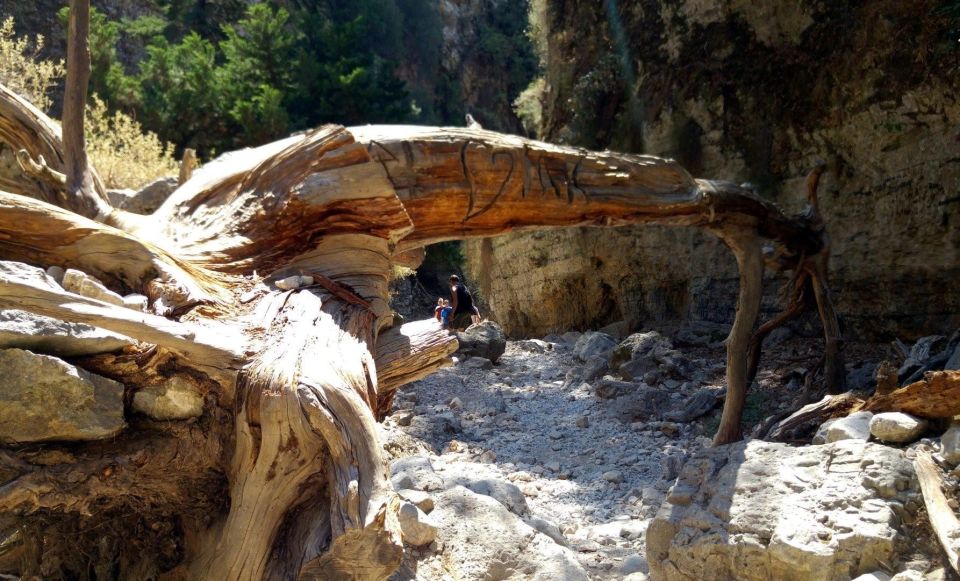 Imbros Gorge Hike From Rethymno - Experience Highlights