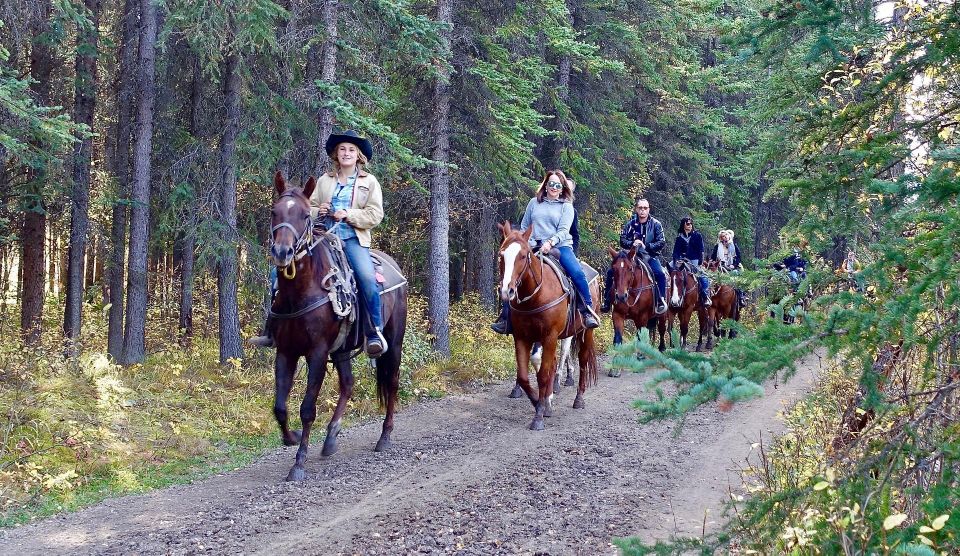 Jackson Hole: Bridger-Teton National Forest Horseback Ride - Experience Highlights