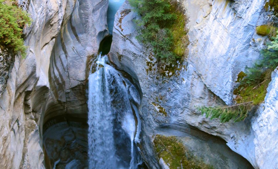 Jasper: Wildlife and Waterfalls Tour With Lakeshore Hike - Inclusions and Exclusions