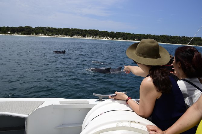 Jervis Bay Dolphin Cruise - What You Need to Know
