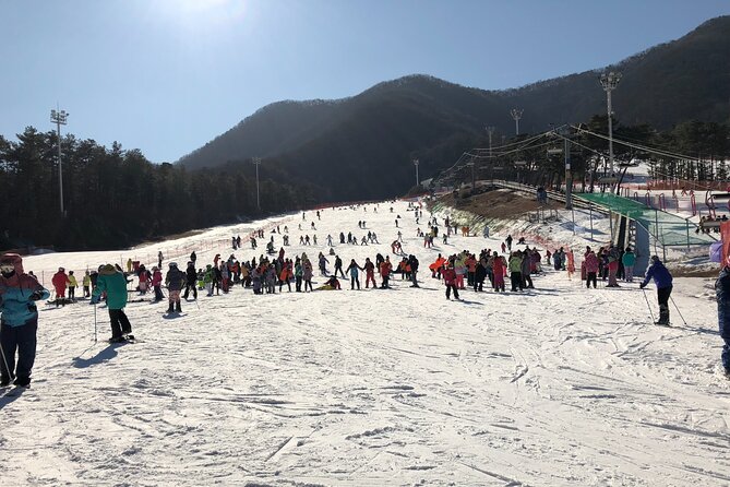 Jisan Ski Resort + Everland One Day Tour - Important Safety Notes