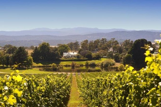 Josef Chromy Wines: Tour, Tasting and Lunch - Behind the Scenes Experience