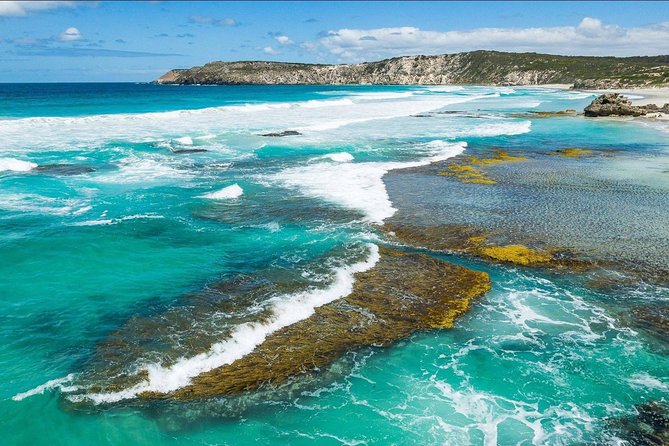 Kangaroo Island Shore Excursion Tasting Tour - For Cruise Ship Passengers Only - What to Expect on Tour