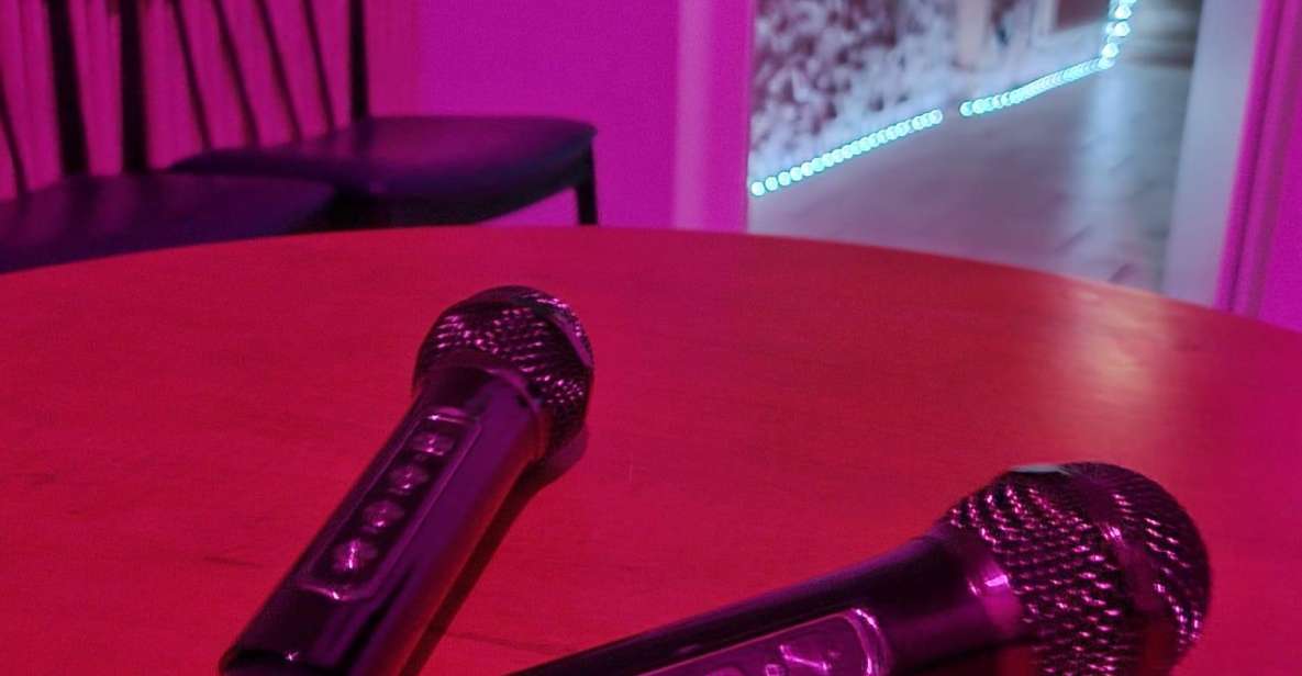 Karaoke Box in Downtown Chartres - Features and Amenities