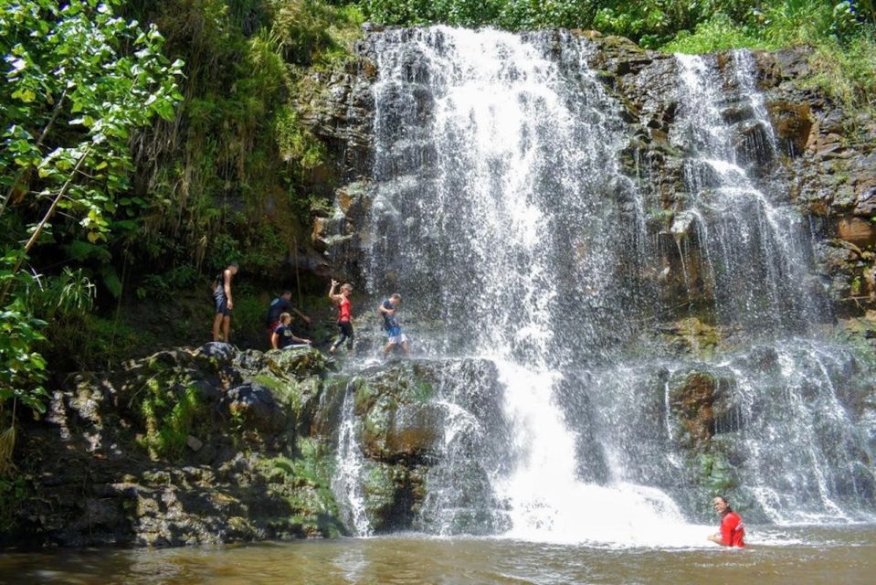 Kauai: Guided Hike and Waterfall Swim - Experience Description