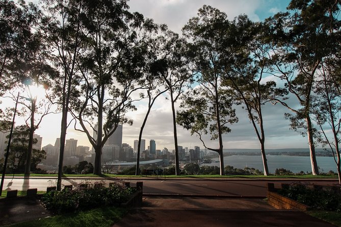 Kings Park Botanicals And Beyond - The Federations Artistic Tribute