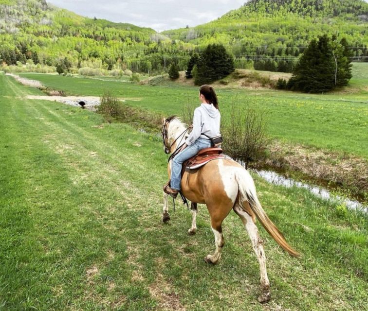 La Vallée: a Charming Introduction to Horseback Riding - Instructor and Group Size