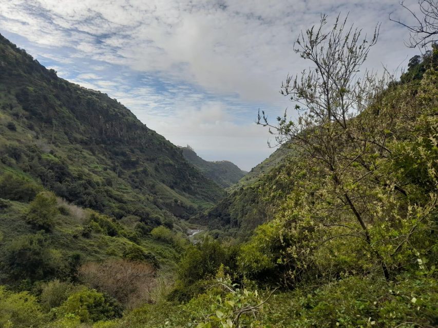 Levada Nova - Levado Do Moinho by Overland Madeira - Activity Details