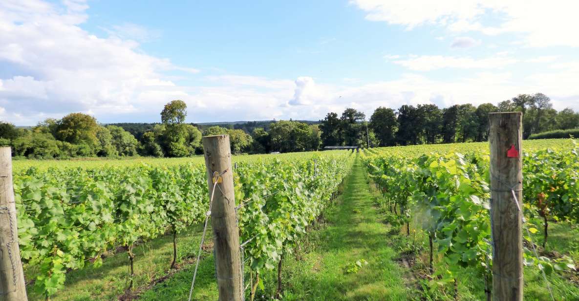 London: Full-Day English Wine Tour With Lunch - Activity Description