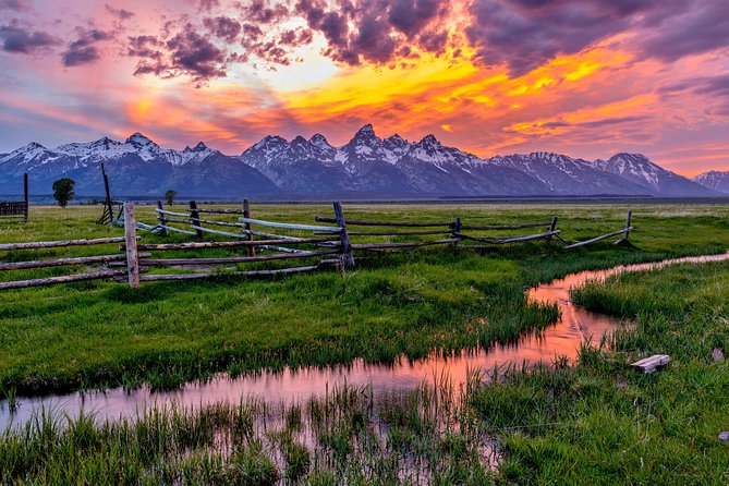 Luxury Private Half-Day Grand Teton National Park Tour - Pricing and Inclusions Details