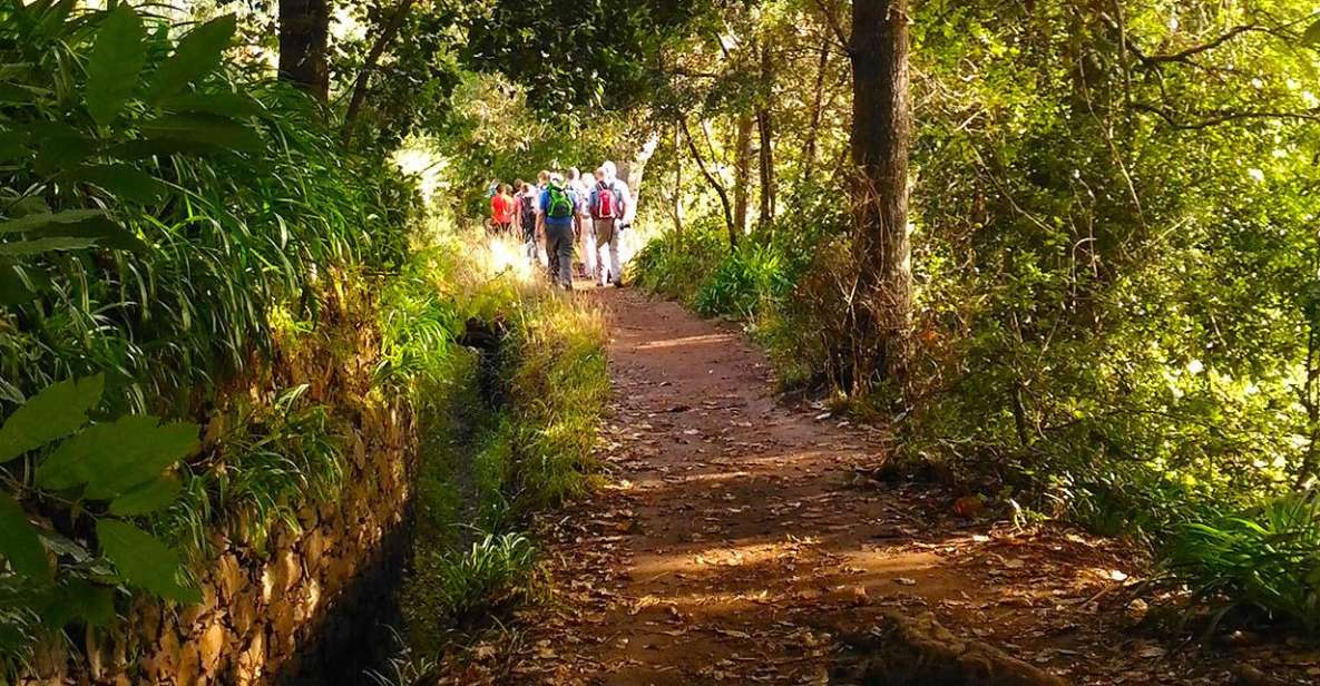 Madeira: Paradise Valley Levada Walk - Activity Description
