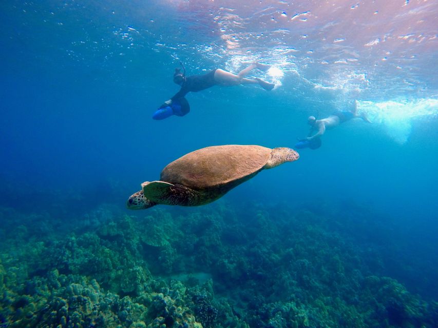 Maui: Guided Sea Scooter Snorkeling Tour - Tour Highlights and Attractions