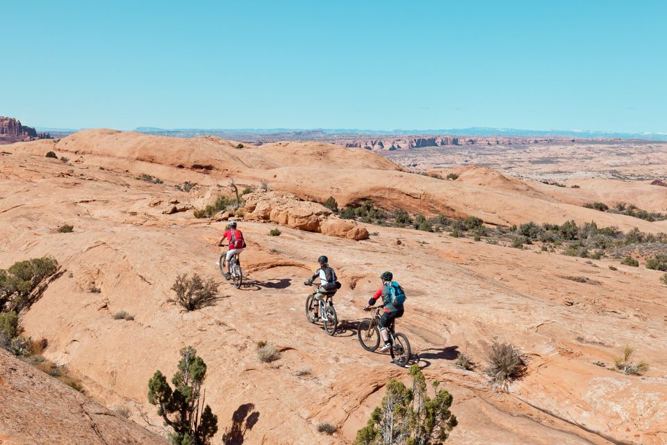 Moab: Mountain Bike Half Day Tour - Experience Highlights