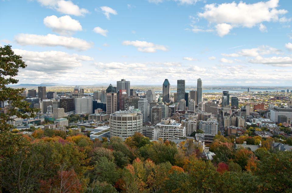 Montreal: Half-Day City Tour - Tour Highlights