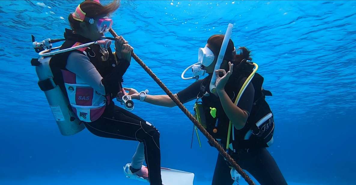 Naha, Okinawa: Kerama Islands Full-Day Intro-Diving Trip - Experience Highlights