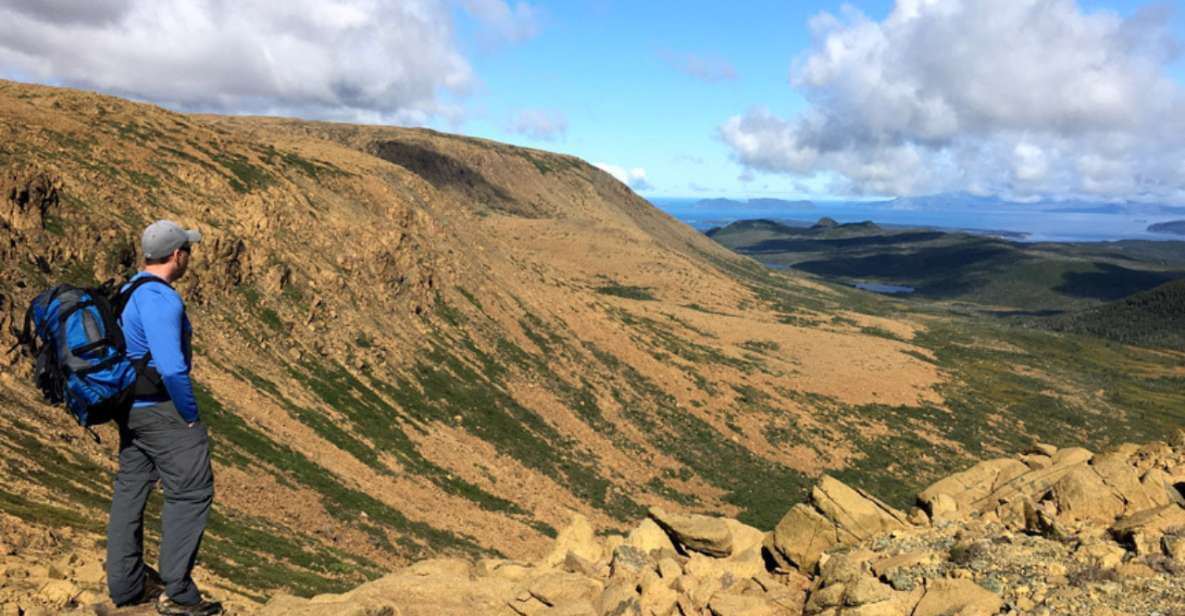 Newfoundland: Blow Me Down Mountains Half Day Hiking Tour - Activity Description