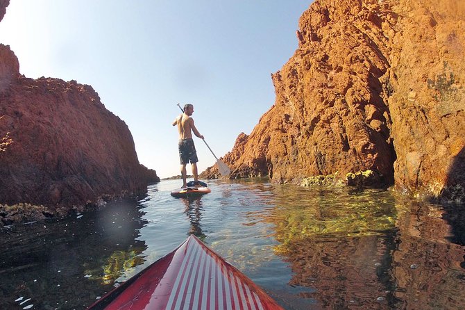 Nice Guided Stand-Up Paddleboard Half-Day Tour - Booking and Accessibility
