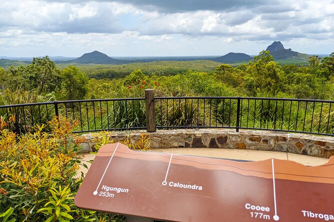 Noosa, Aussie Animals & Glass House Mountains From Brisbane - Glass House Mountains Adventure