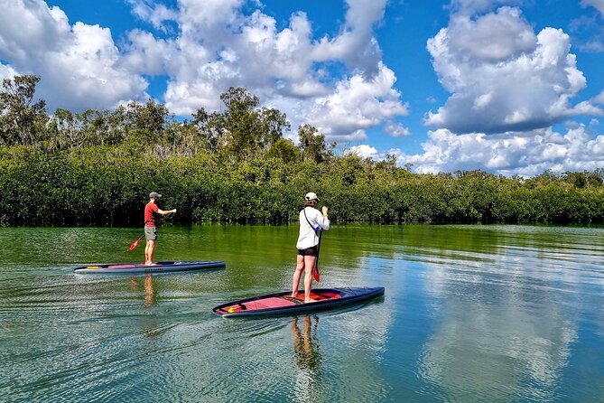 Noosa Stand Up Paddle Group Lesson - Exploring Noosas Waterways