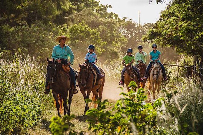 Oahu Sunset Horseback Ride - Logistics and End Point