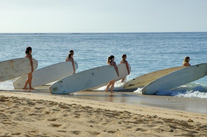 Outrageous Surf ScHool Lesson on Lahaina Side - Equipment and Techniques