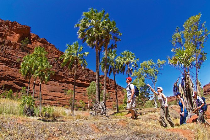 Palm Valley 4WD Tour From Alice Springs - Exploring Finke Gorge National Park