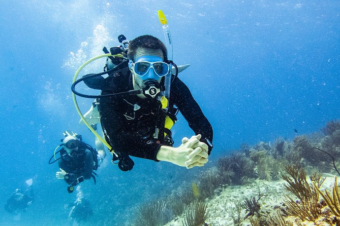 Playa Del Carmen: PADI Discover Scuba Diving With Instructor - Dive Into the Underwater World