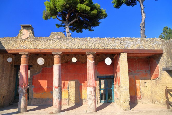 Pompeii and Herculaneum Private Walking Tour With an Archaeologist - Inclusions and Exclusions