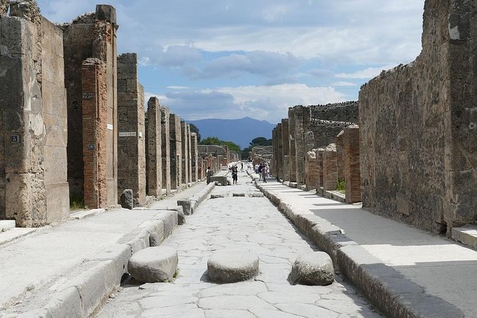 Pompeii Private Tour From Naples Cruise, Port or Hotel Pick up - Customer Feedback and Testimonials
