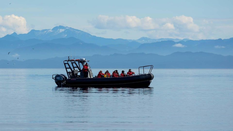 Port Hardy: Sea Otter and Whale Watching - Pricing and Duration