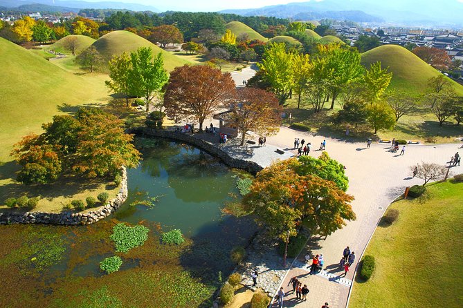 Port Shore Excursion Tour - Busan to Gyeongju (8hours) - Pricing and Cancellation Policies