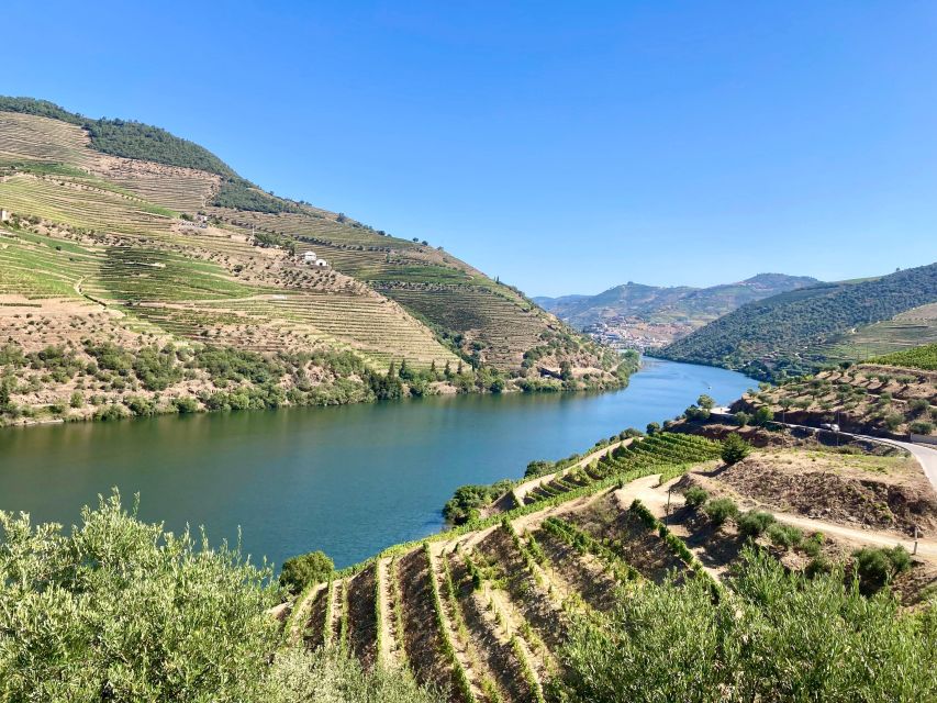 Porto: Douro Valley Wine Tour With Tastings, Boat, and Lunch - Customer Reviews