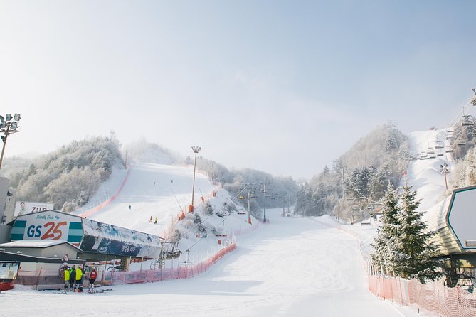 Private 1:1 Ski Lesson Near Seoul, South Korea - What to Expect on Tour