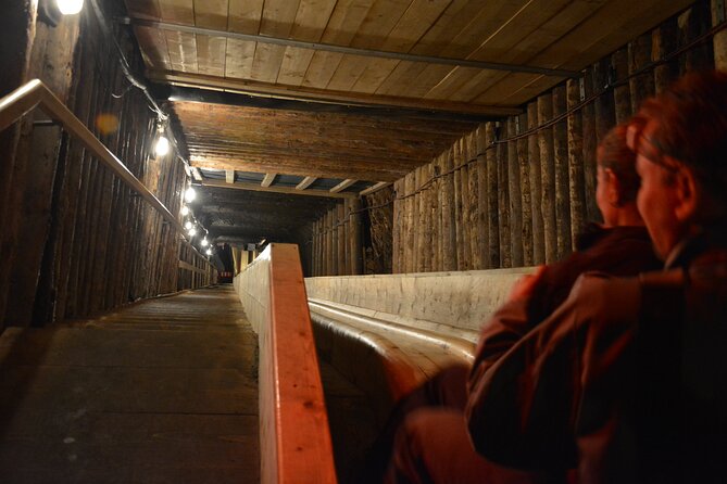 Private Day Trip to Hallstat & Salt Mine From Vienna With a Local - Booking Information