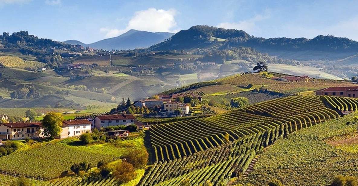 Private Tour: Barolo Wine Tasting in Langhe Area From Torino - Languages and Pickup Information