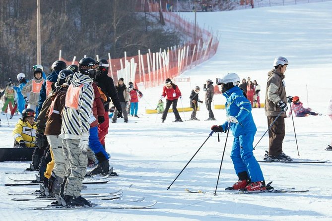 [Private Tour] Nami Island & Ski (Ski Lesson, Equip & Clothing Included) - What to Expect on Tour
