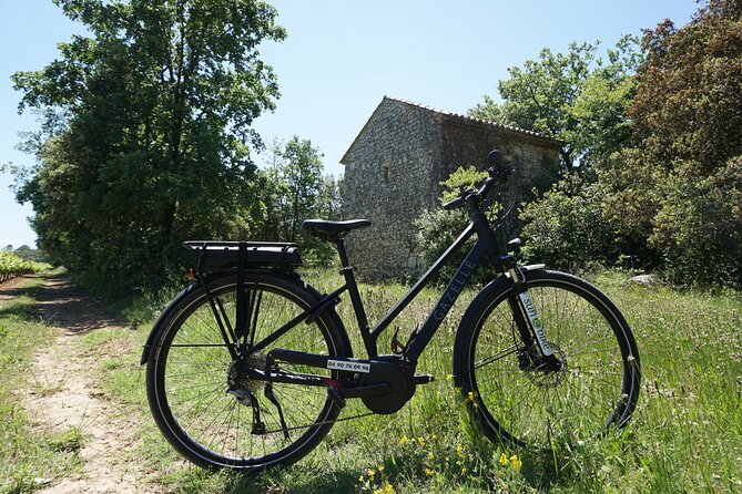 Provence and the Carrieres De Lumieres by E-Bike From Saint-Rémy-De-Provence - Traveler Resources