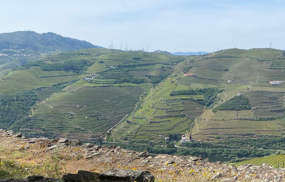Quinta Do Vallado: Walking With Full Lunch and Wine Tasting - Itinerary