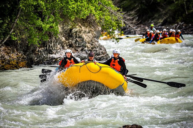 Rafting Adventure on the Kicking Horse River - Traveler Experience