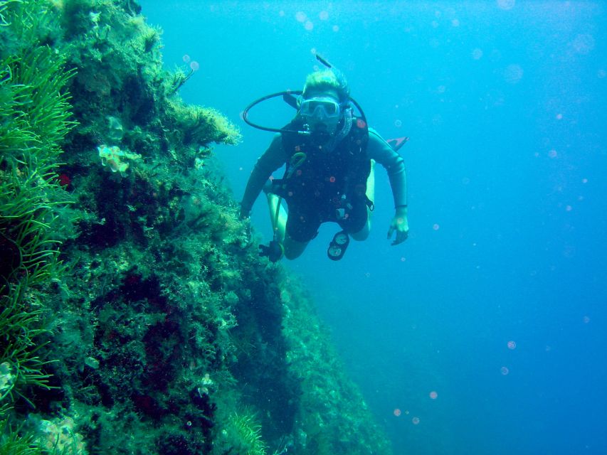 Rhodes: Diving Adventure for Beginners and Experts - Inclusions