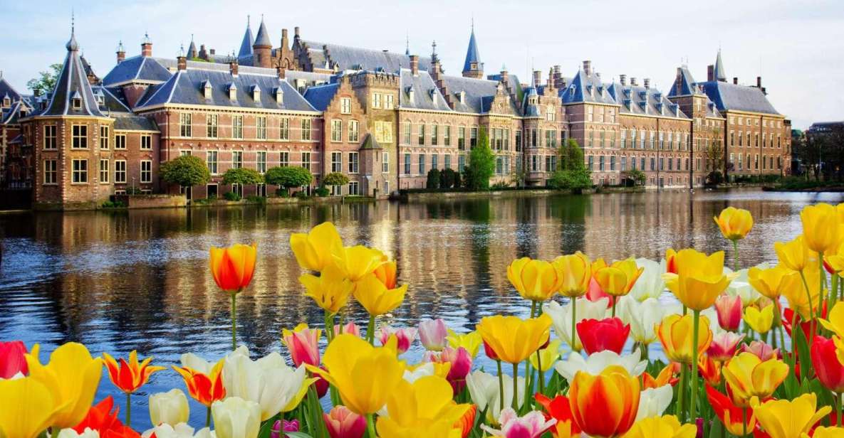 Rotterdam, Hague & Delft Private Tour From Amsterdam by Car - Tour Experience