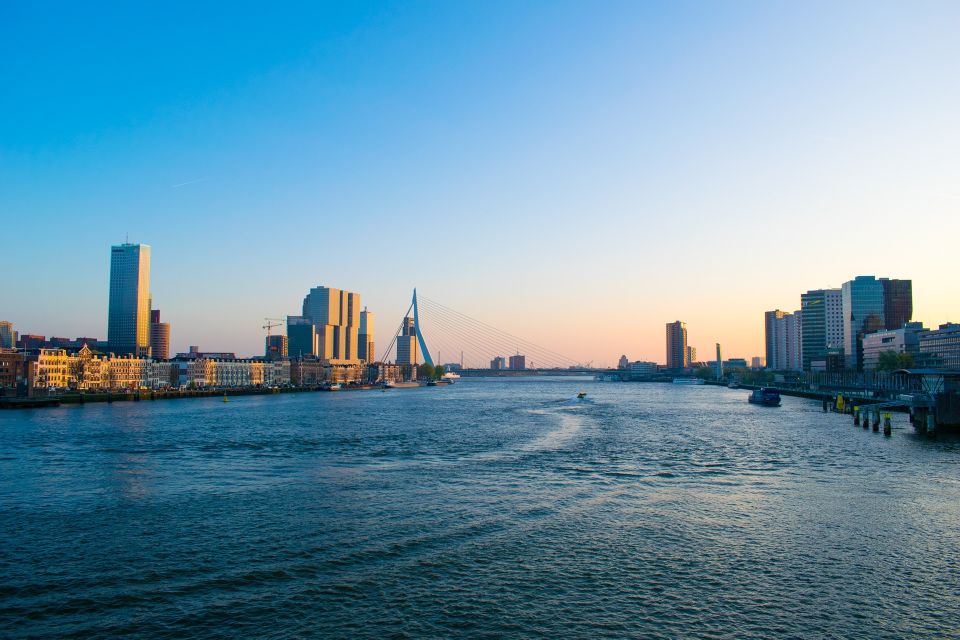 Rotterdam Walking Tour and Harbor Cruise - Tour Experience