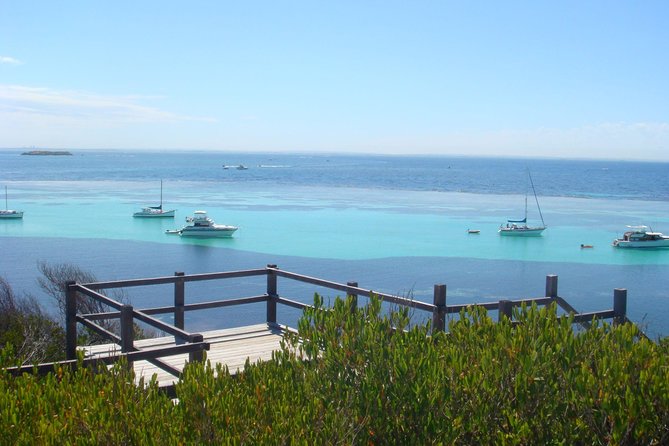 Rottnest Bayseeker Bus Tour From Hillarys Boat Harbour - Meeting and Pickup Arrangements