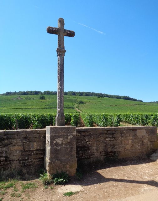 Route Des Grands Crus', Private Wine Tasting in Burgundy! - Booking Information and Flexibility