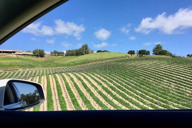 Santa Barbara Small-Group Wine Tour to Private Estates & Wineries - Inclusions