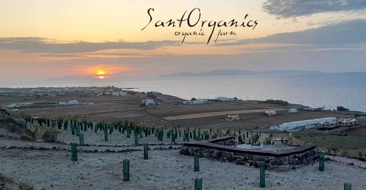 Santorini: Private Agri-Educational Visit to an Organic Farm - Unique Experience