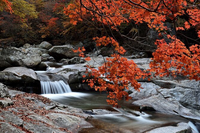 Scenic Jiri Mountain Autumn Foliage One Day Tour - Planning Your Autumn Getaway