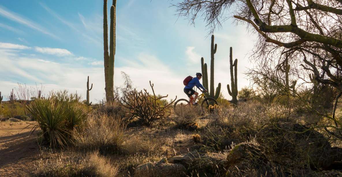 Scottsdale: Half-Day Sonoran Desert Mountain Bike Tour - Customer Reviews