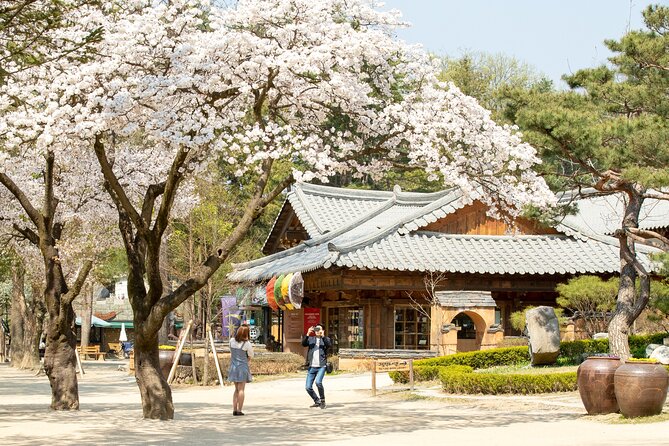 Seoul to Nami Island Round Trip Shuttle Bus Service - What to Expect on Tour