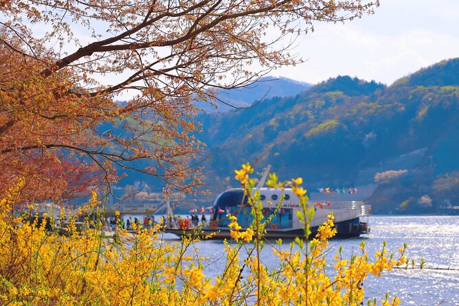Seoul Vicinity 5 in 1: Nami Island, Garden of Morning Calm & More - Exploring Four Attractions